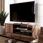Iver Modern and Contemporary 1-Door TV Stand
